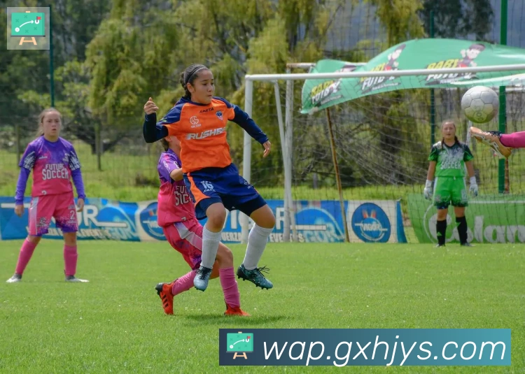 多媒体互动体验